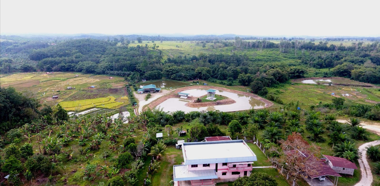KOLAM D' PIGING, fishing pond in Keningau, Sabah (photo 2)