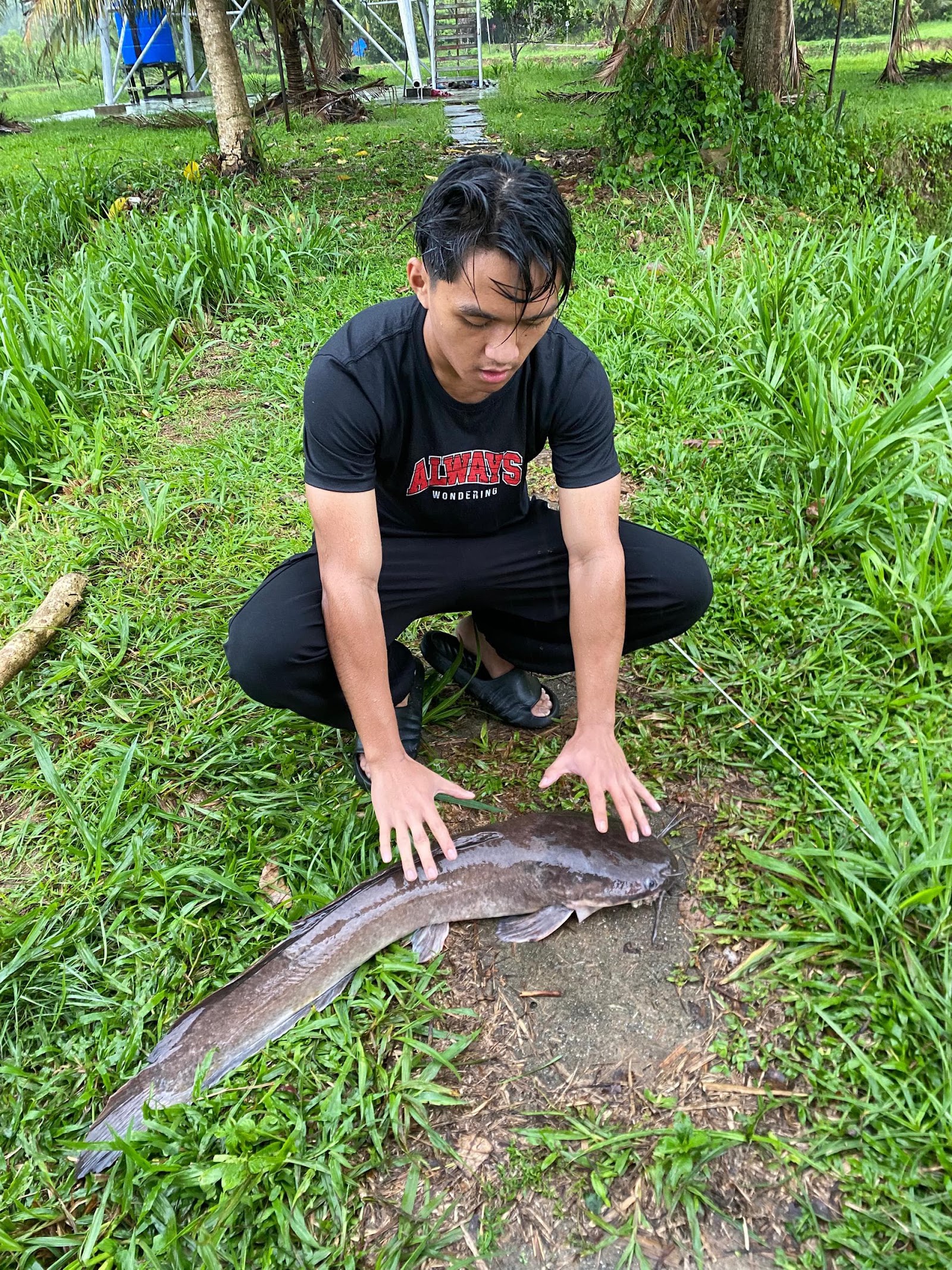 KOLAM D' PIGING, fishing pond in Keningau, Sabah (photo 3)