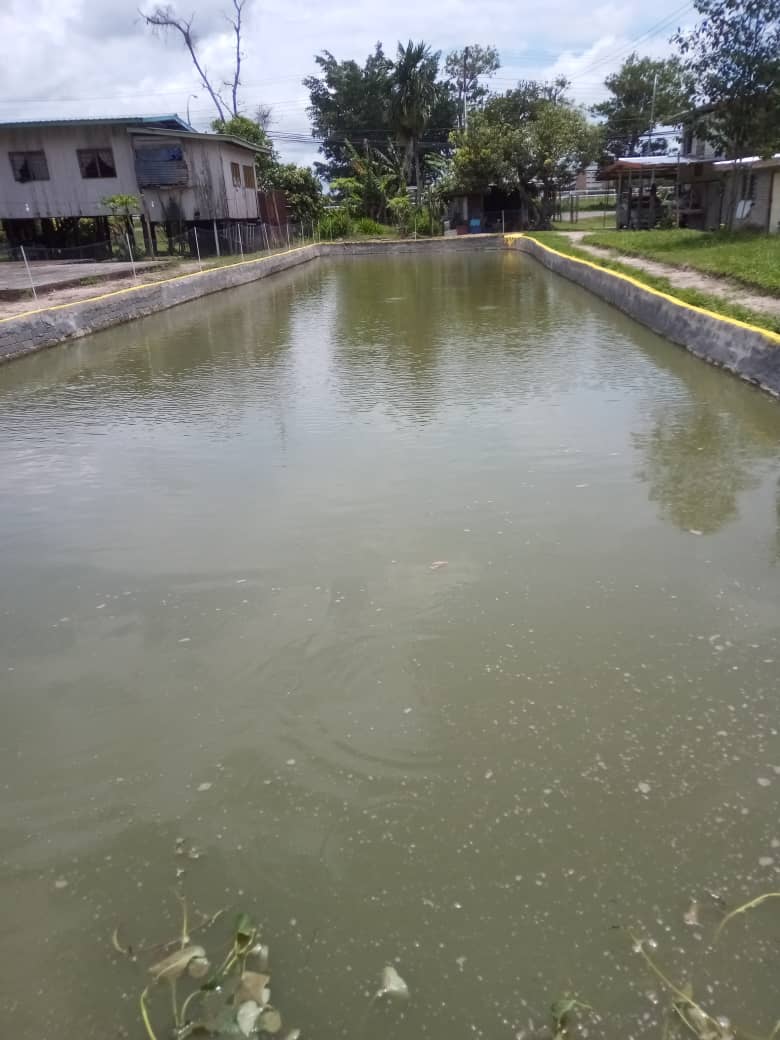 Kolam pancing Kolam Tiqo-Tiqo