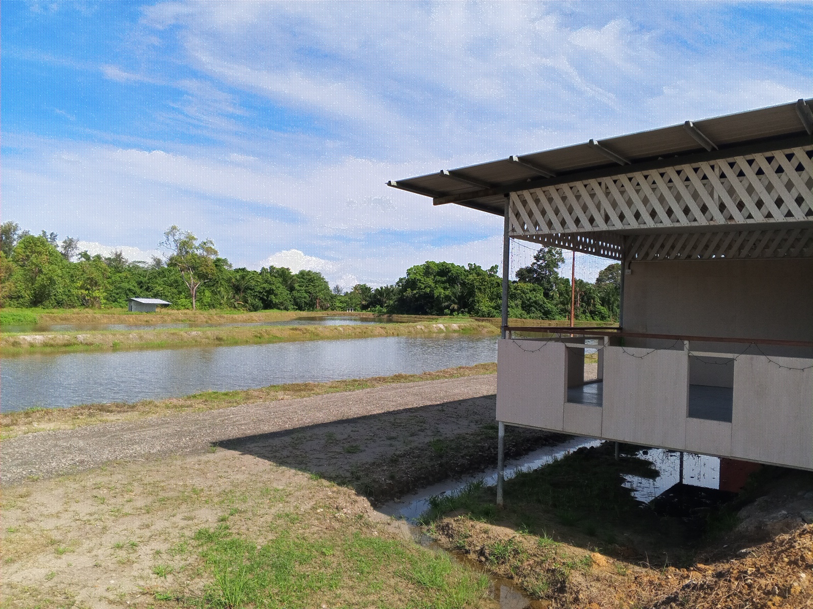Kolam D'menumpang kuala penyu, kolam pancing di Kuala Penyu, Sabah (gambar 3)