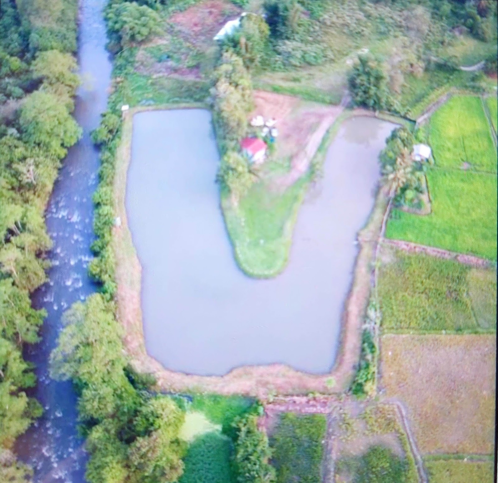 Kolam Bunsit Recreation (KBR), kolam pancing di Keningau, Sabah (gambar 1)
