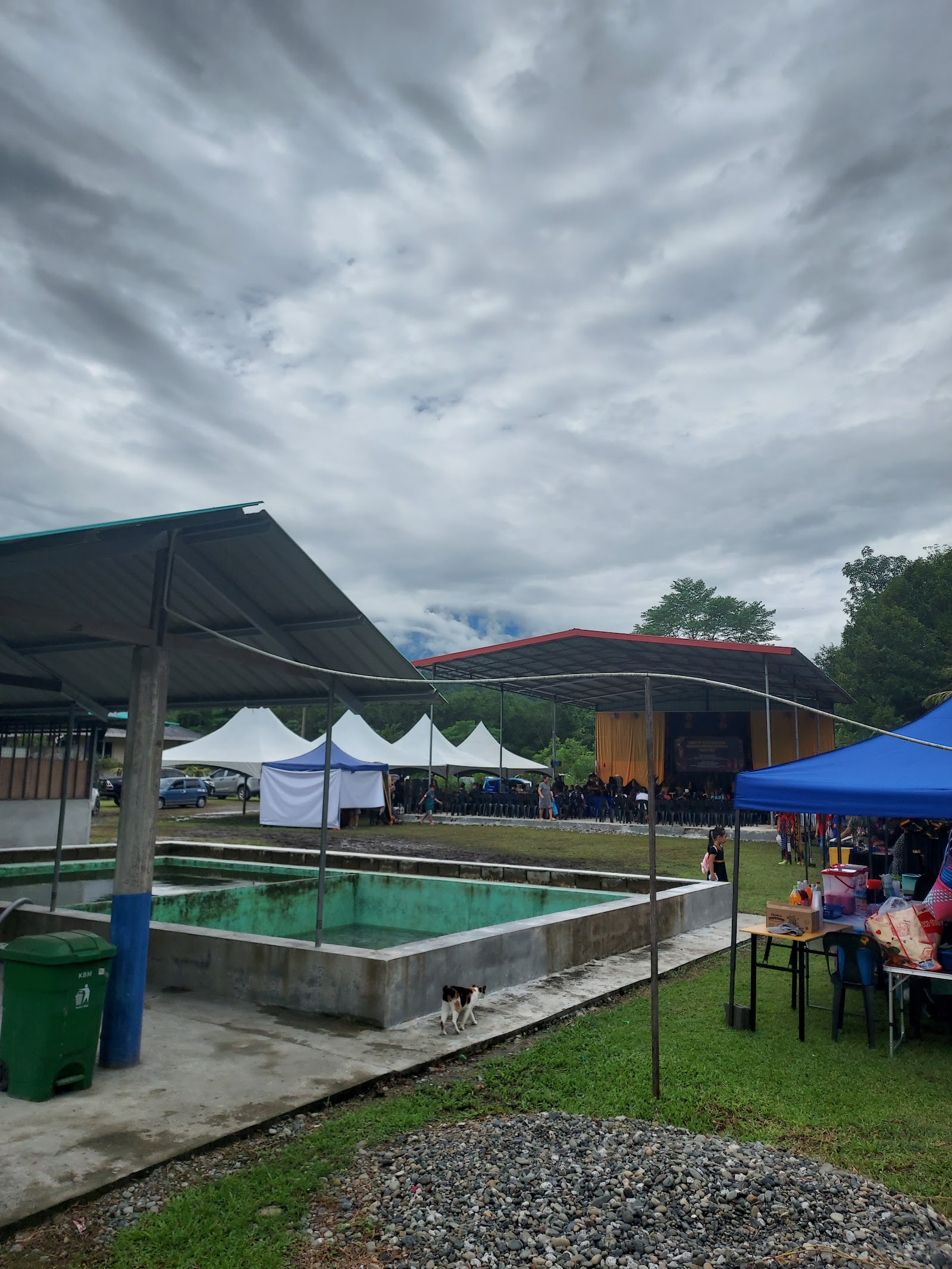 Kolam memancing santai santai, kolam pancing di Kota Belud, Sabah (gambar 2)