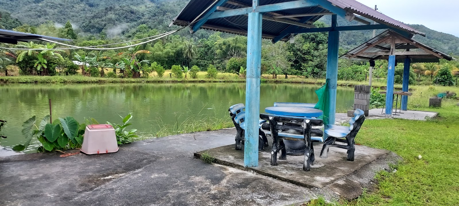 Kolam memancing santai santai, kolam pancing di Kota Belud, Sabah (gambar 3)
