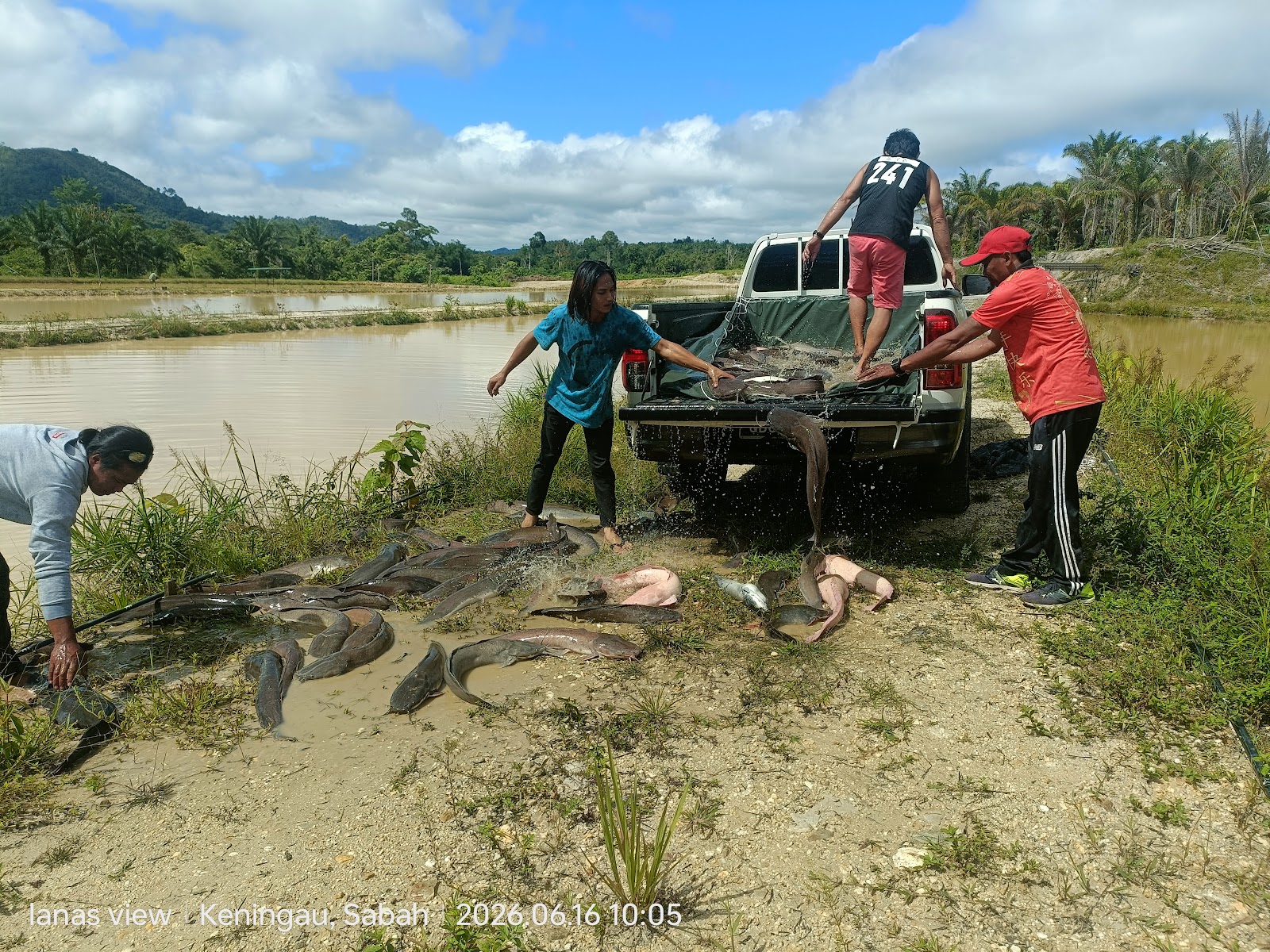 Kolam pancing KOLAM LANAS VIEW