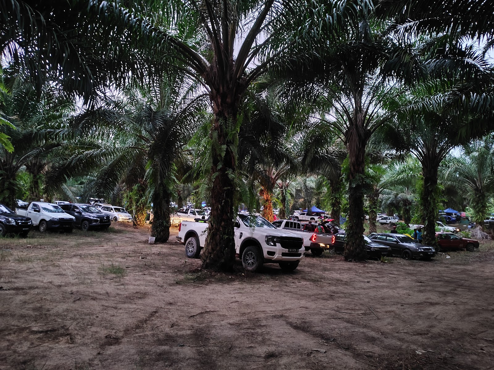 Kolam pancing KOLAM HARUS SEMANGAT (KHS) KENINGAU