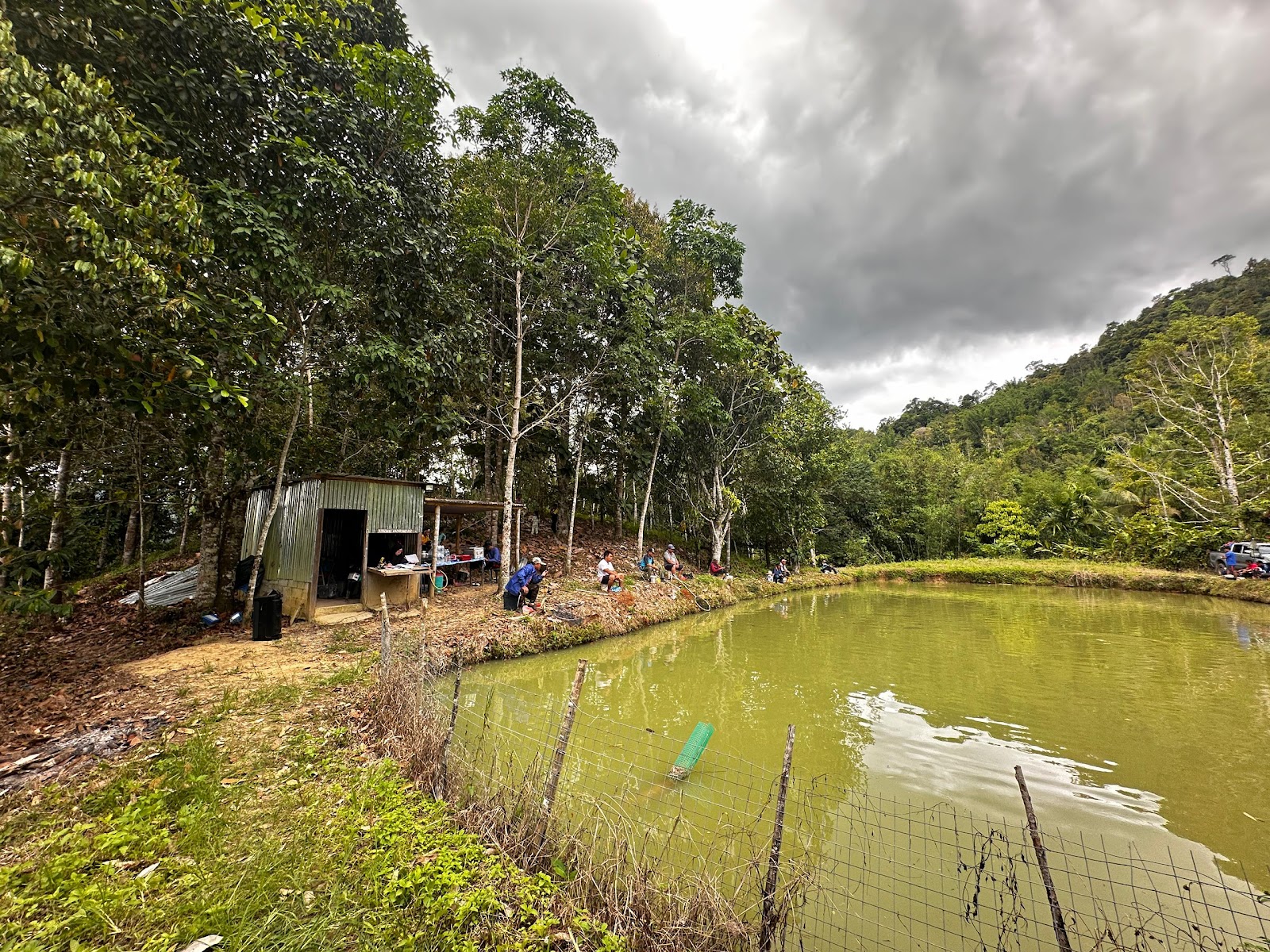 Kolam De' Sarayo, fishing pond in Kundasang, Sabah (photo 2)