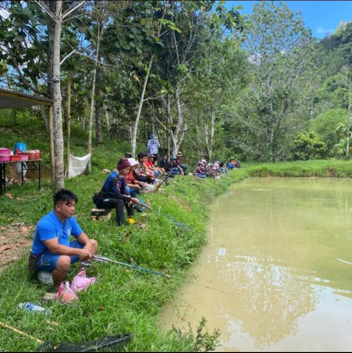 Kolam De' Sarayo, fishing pond in Kundasang, Sabah (photo 3)