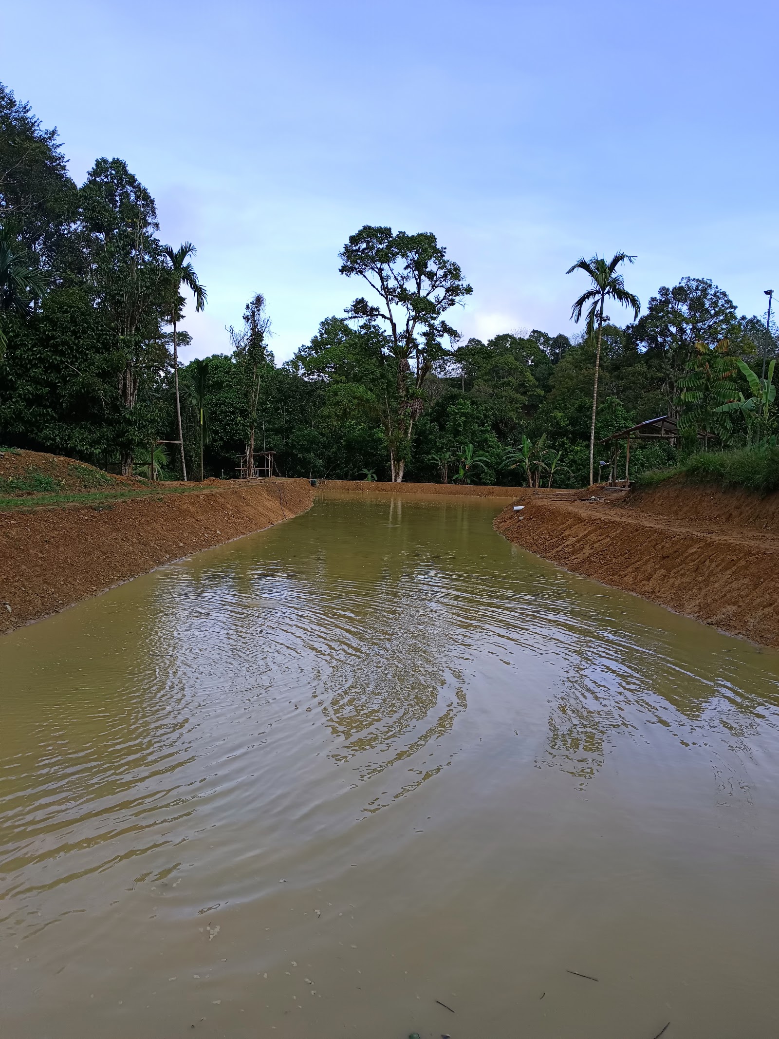 Kolam Dumpiring, kolam pancing di Ranau, Sabah (gambar 2)