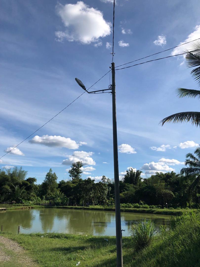Kolam Sawit Bumburing, fishing pond in Keningau, Sabah (photo 3)