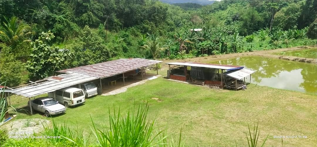 KDM VIEW (KOLAM D MAS VIEW), kolam pancing di Tenom, Sabah (gambar 2)