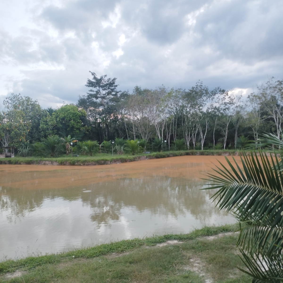 Kolam pancing KOLAM KRKM