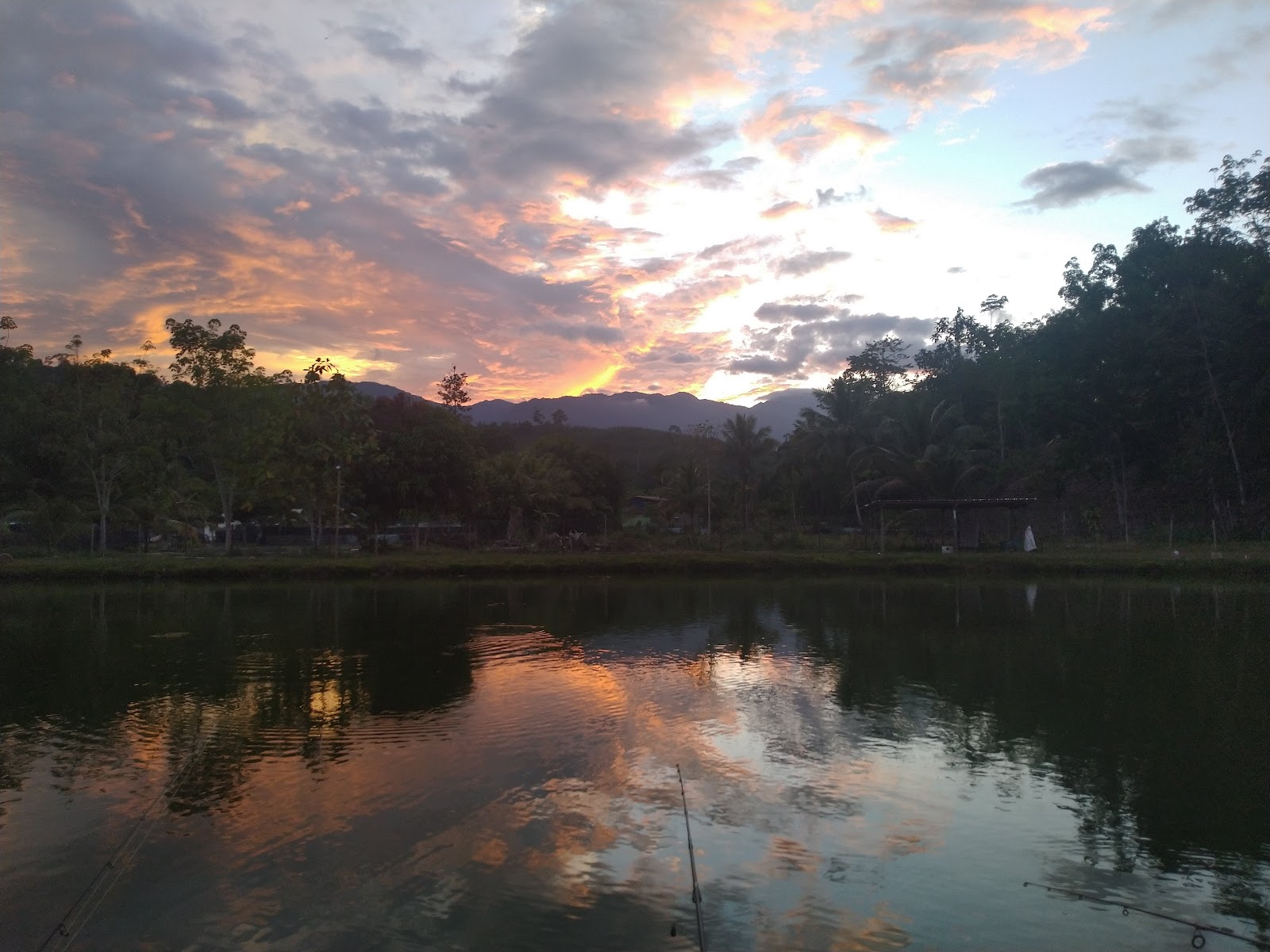 Kolam pancing Kolam Togop Fishing Pond