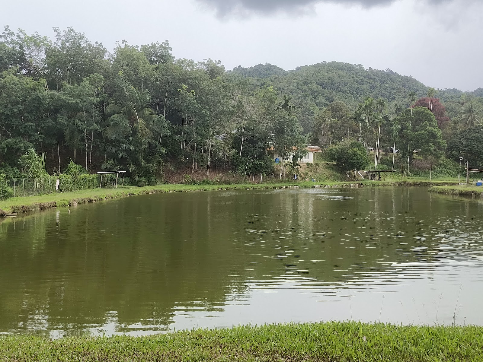 Kolam Togop Fishing Pond, kolam pancing di Ranau, Sabah (gambar 2)
