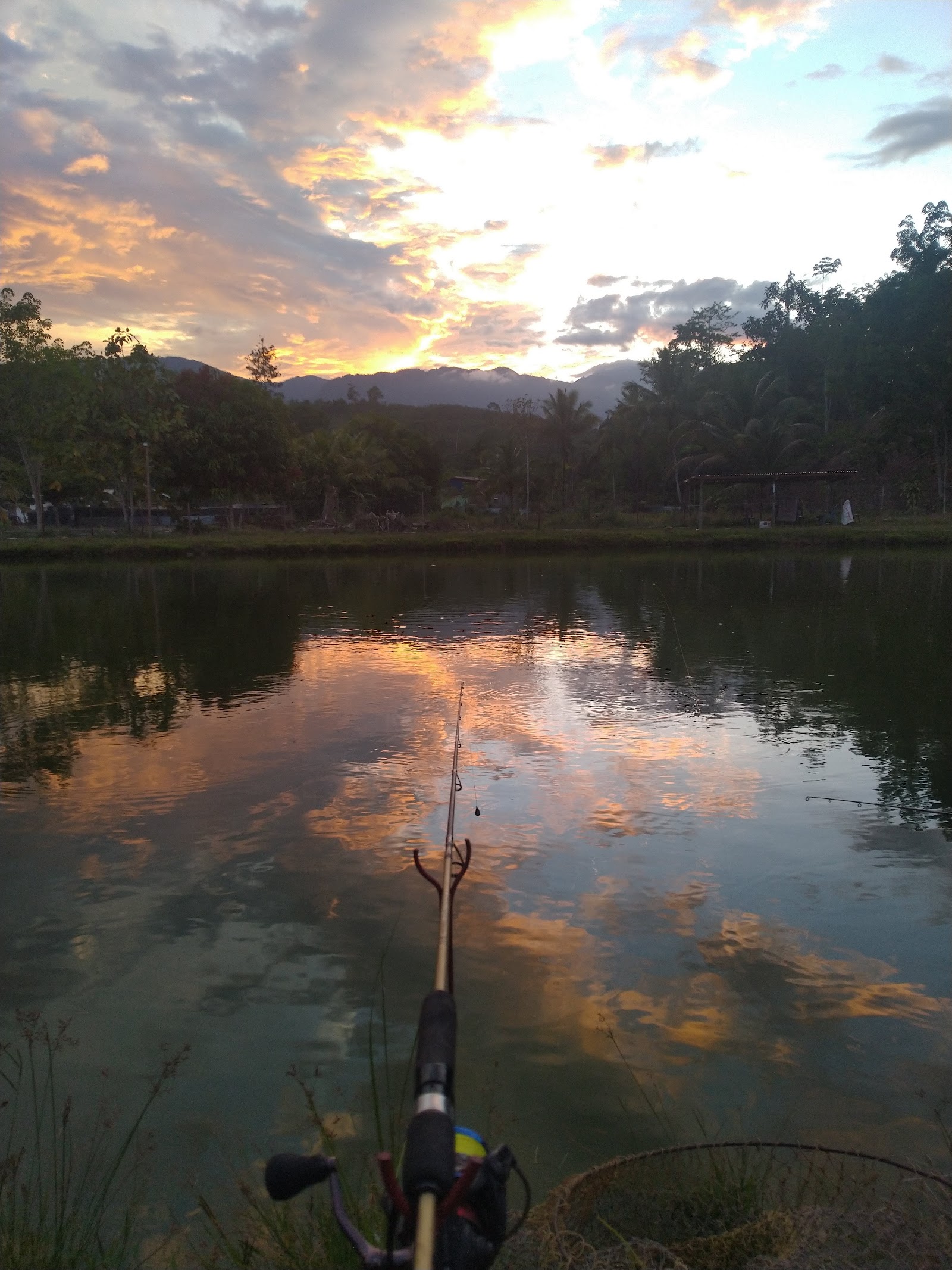 Kolam Togop Fishing Pond, kolam pancing di Ranau, Sabah (gambar 3)