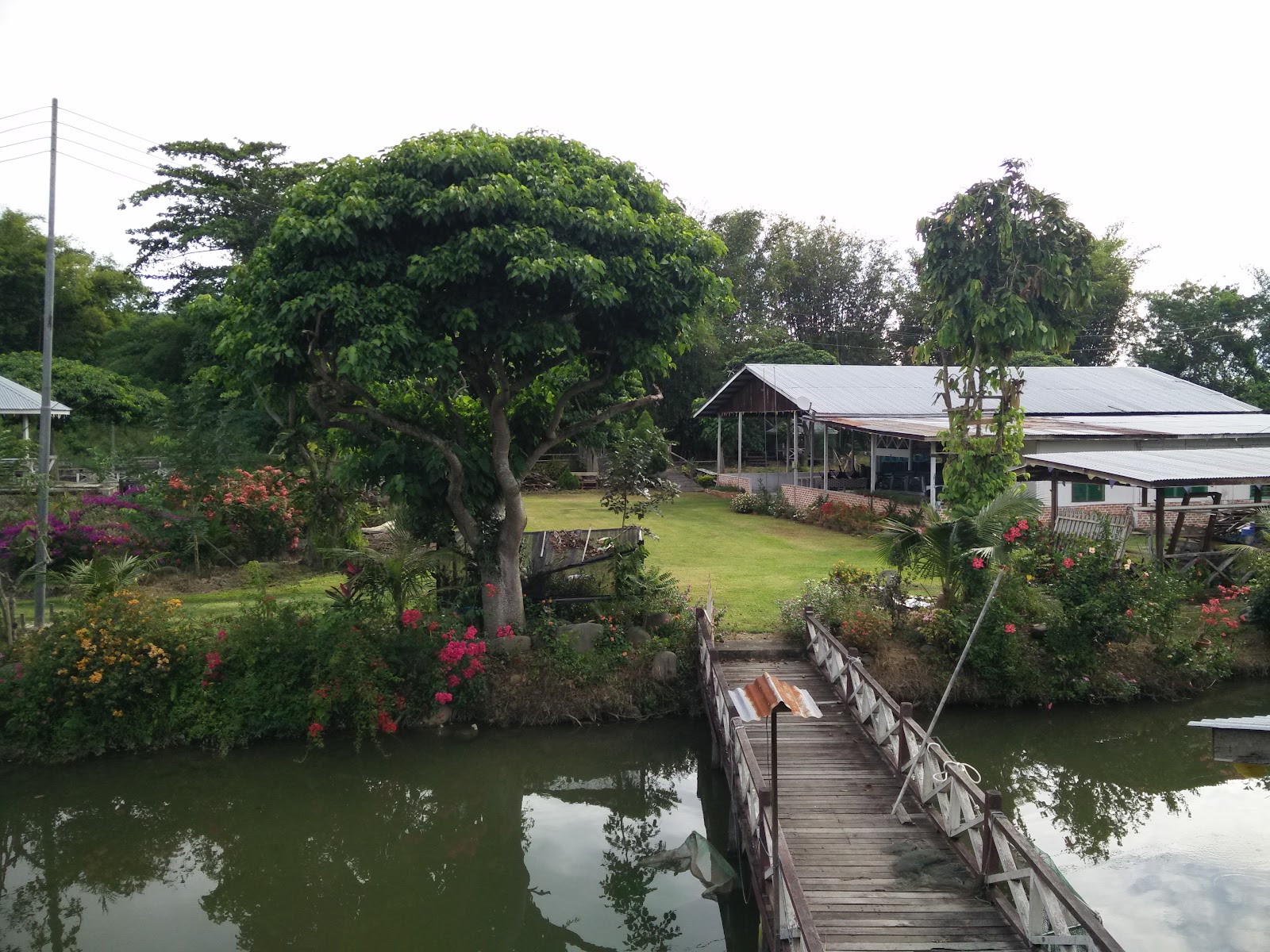 Kolam pancing Buntiron Adventure & Fishing Park - Jasin Lumau