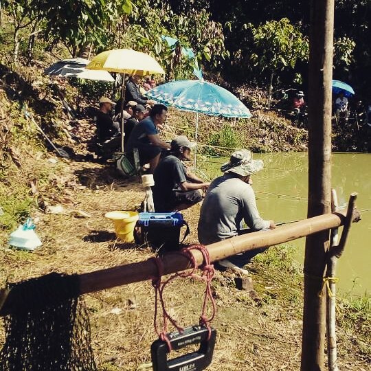 Kolam pancing Kolam KFarm