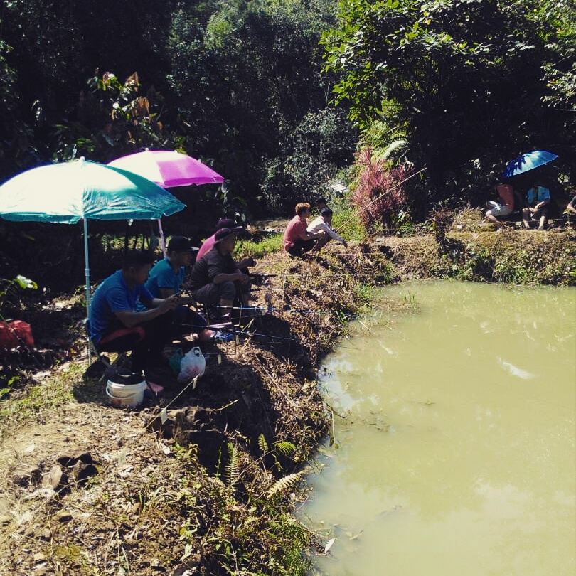 Kolam KFarm, fishing pond in Donggongon, Sabah (photo 2)