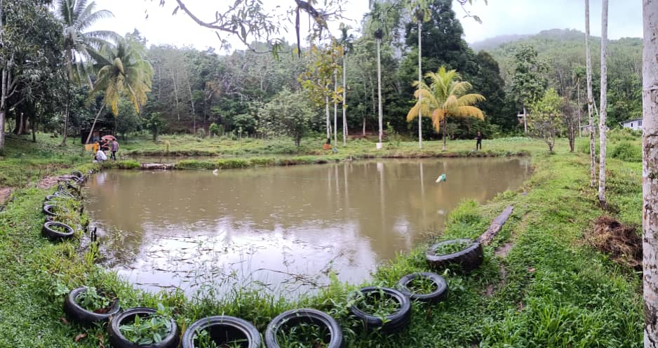 Kolam pancing Kolam Pancing Sedi Belud