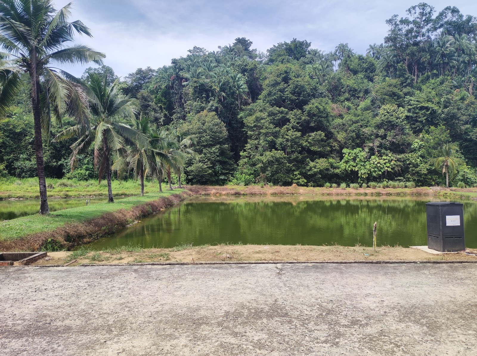 Kolam Pertanian (iatc), kolam pancing di Donggongon, Sabah (gambar 2)