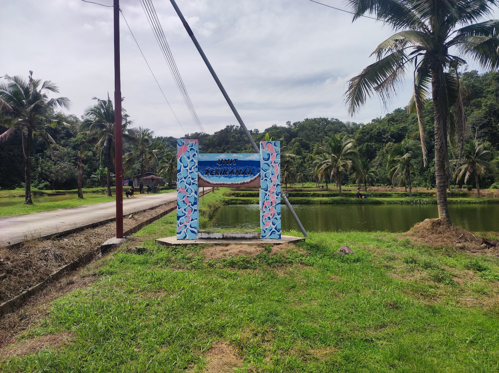 Kolam Pertanian (iatc), kolam pancing di Donggongon, Sabah (gambar 3)