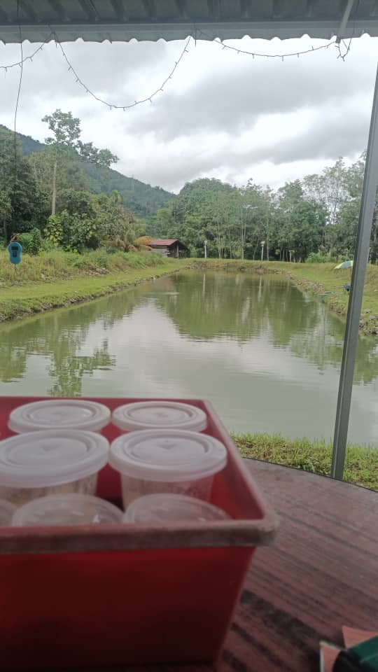 Kolam pancing Kolam Narinang