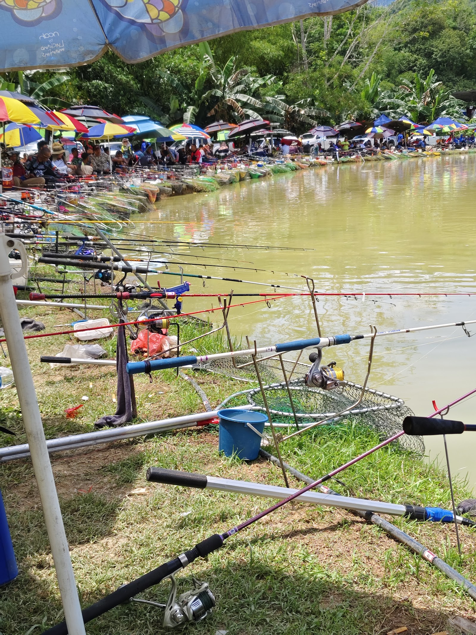 Kolam bah Inanam, kolam pancing di Kota Kinabalu, Sabah (gambar 3)