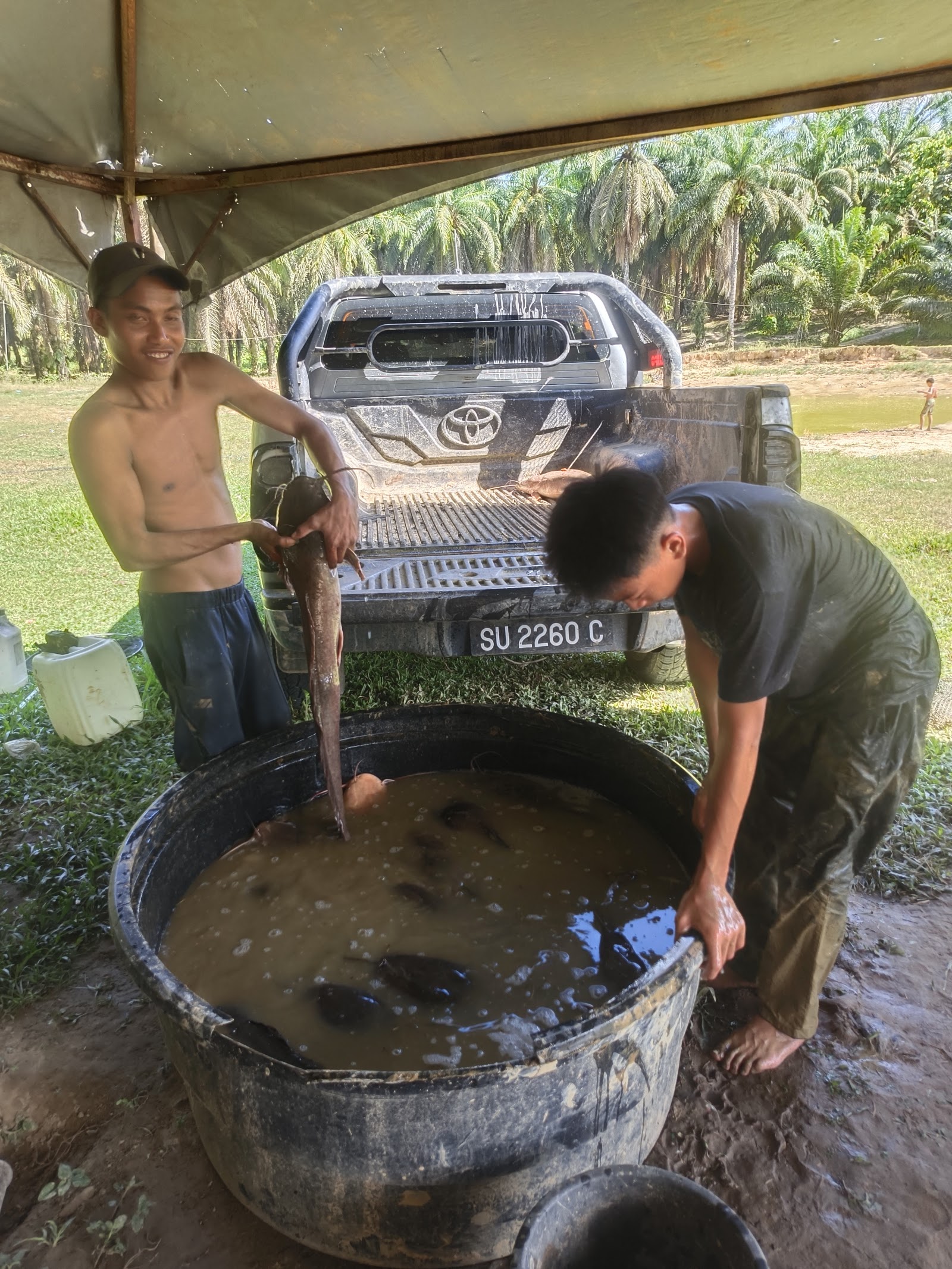 Kolam Pamahunan Membulu, kolam pancing di Sabah (gambar 3)