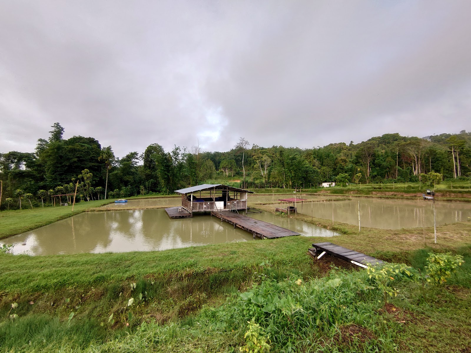 Kolam pancing KOLAM PANCING HULU KAMPUNG MENGKATAI