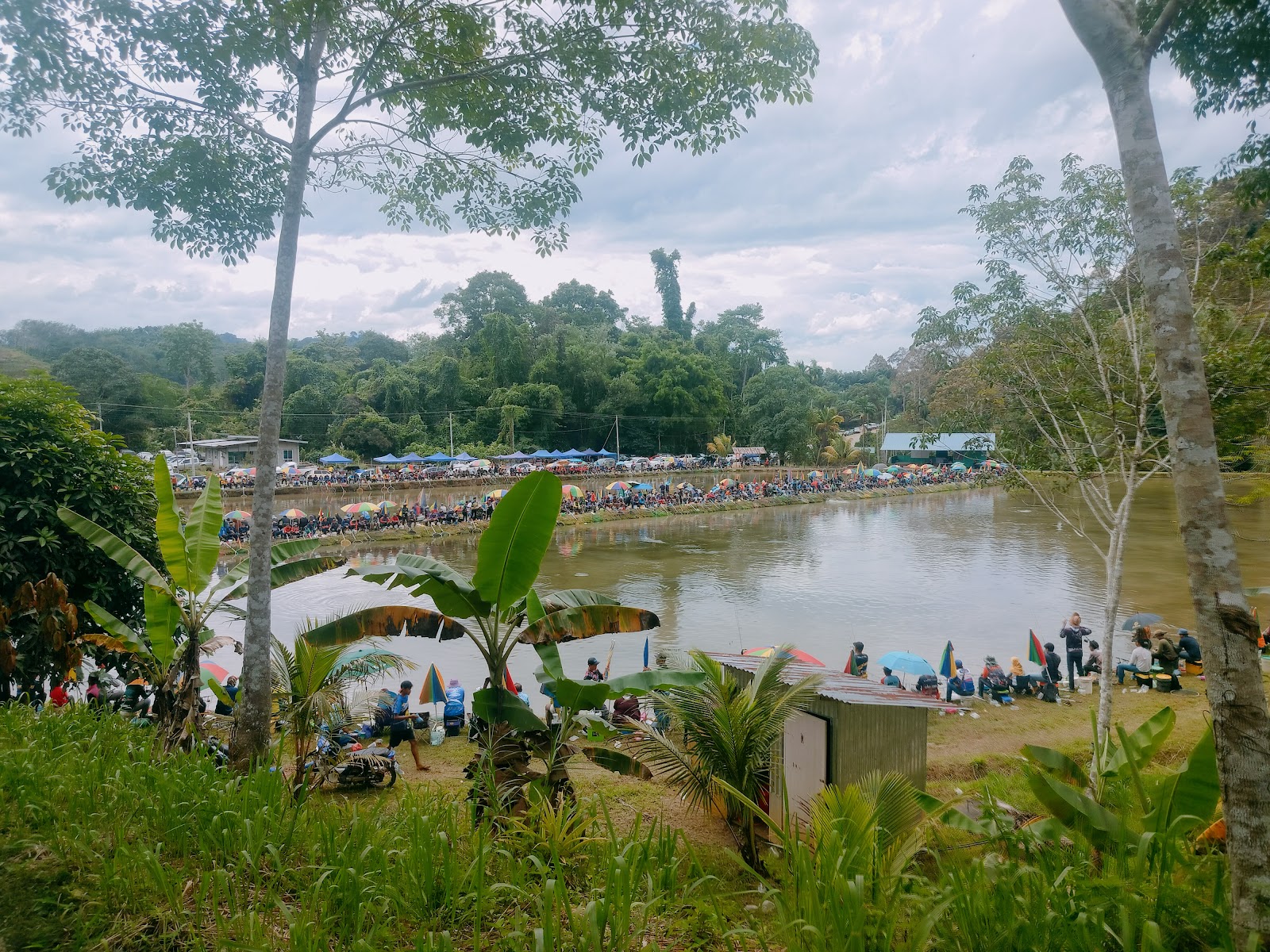 Kolam Dosogit Singgaron Baru, kolam pancing di Ranau, Sabah (gambar 3)