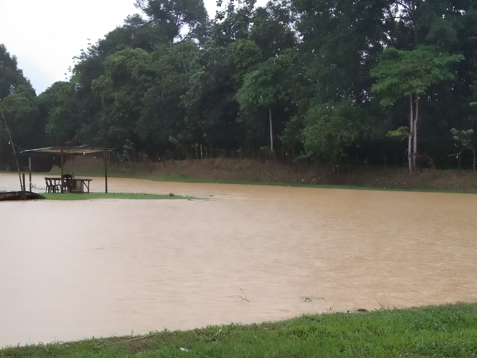 Kolam Kita Kita Juga Baini, kolam pancing di Tuaran, Sabah (gambar 2)