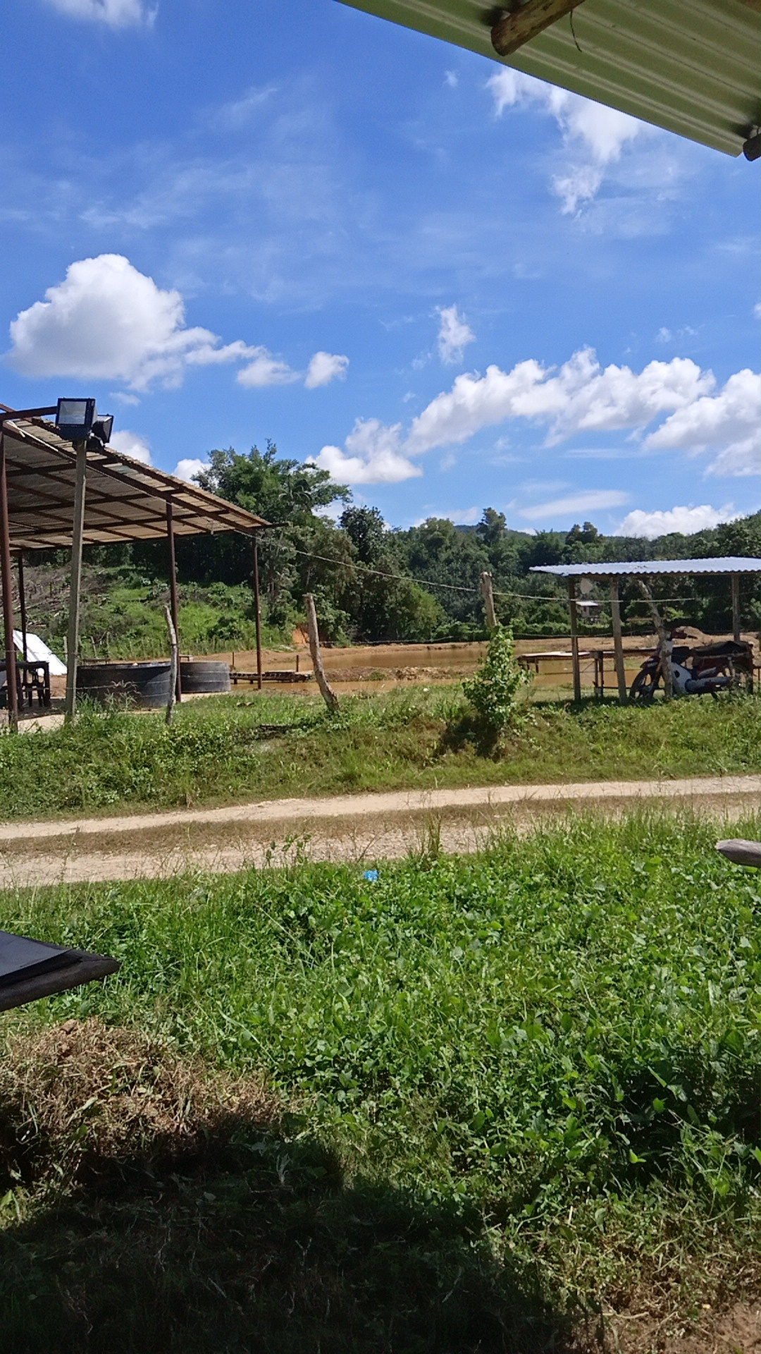 Kolam Kita Kita Juga Baini, kolam pancing di Tuaran, Sabah (gambar 3)