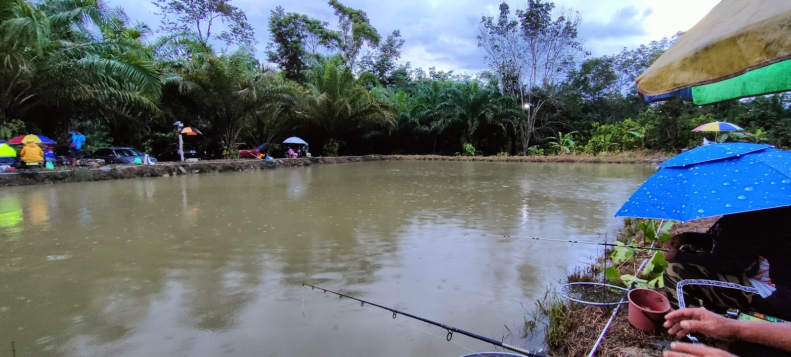 Kolam MUGA, kolam pancing di Ranau, Sabah (gambar 3)