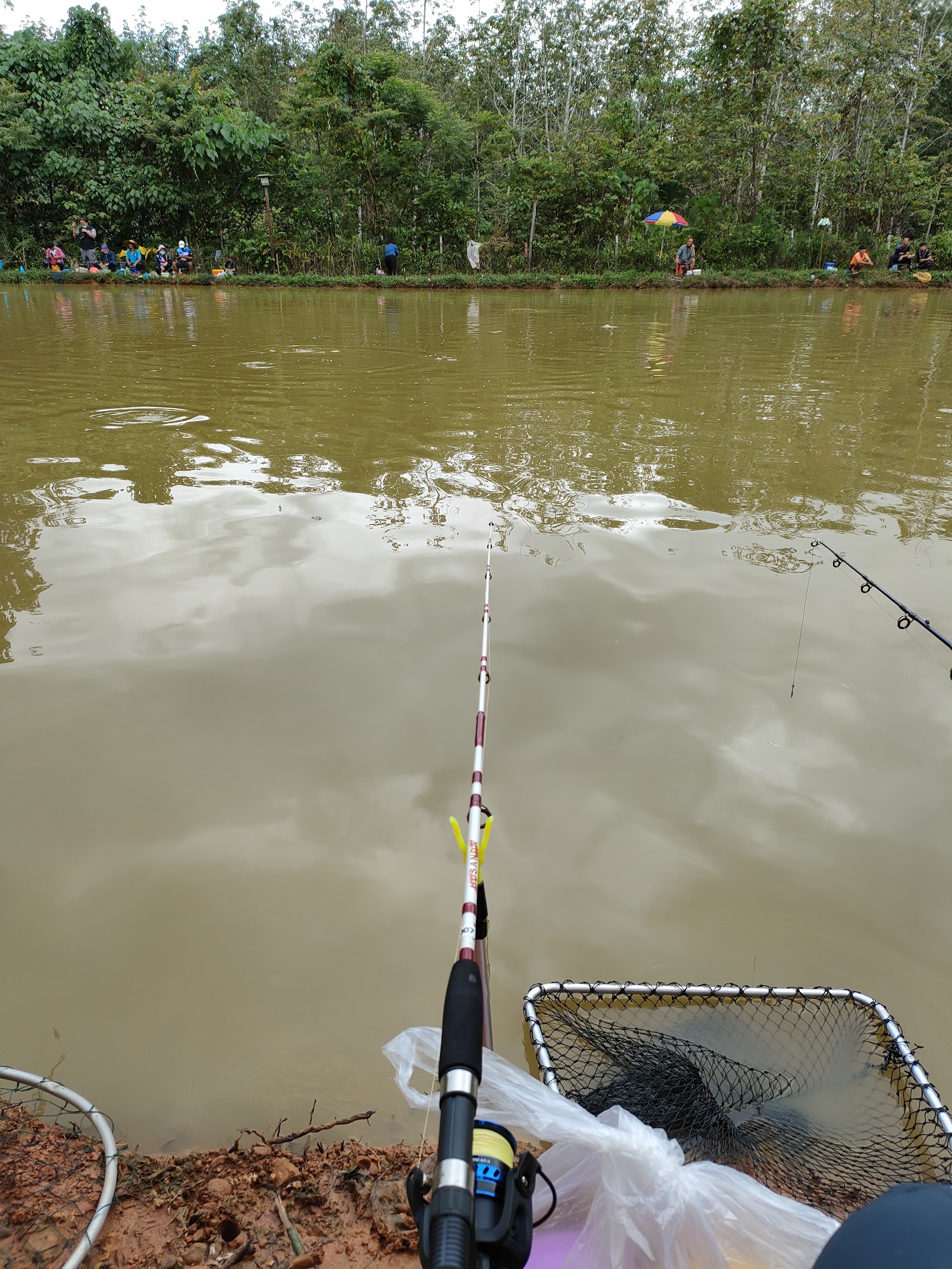 Kolam Maragi River KMR, kolam pancing di Sabah (gambar 2)