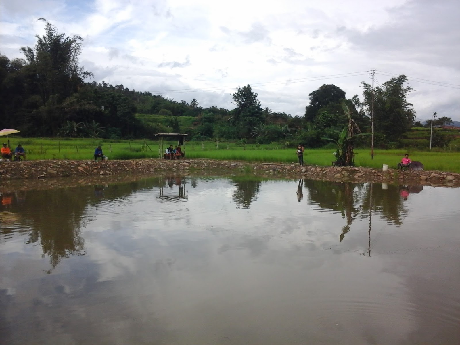 Kolam Nagas Tondulu, kolam pancing di Tambunan, Sabah (gambar 2)
