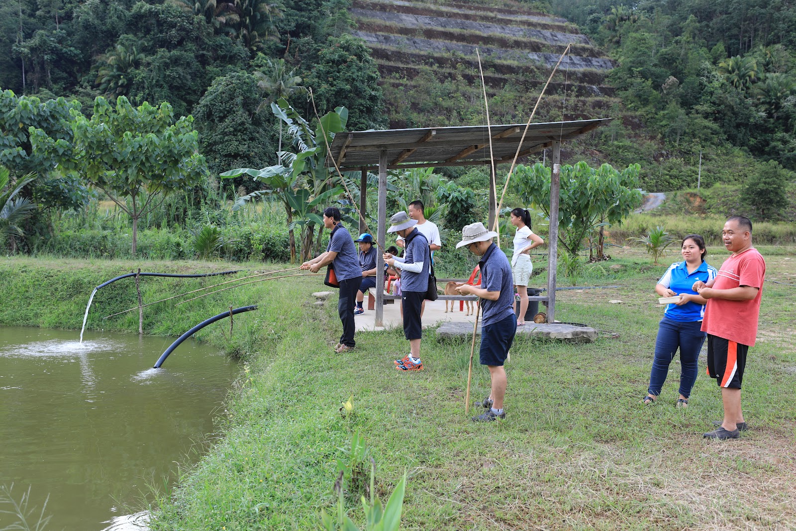 Disan View Fishpond, kolam pancing di Tuaran, Sabah (gambar 2)