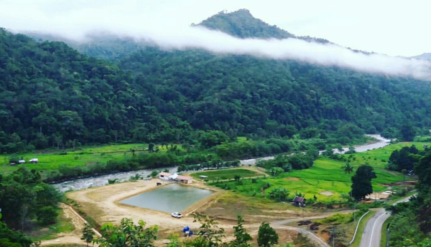 Disan View Fishpond, kolam pancing di Tuaran, Sabah (gambar 3)