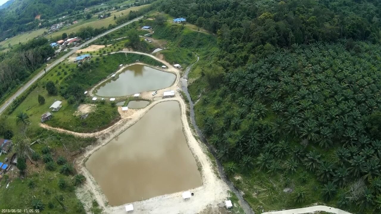 Kolam Rekreasi Pupuluton Valley (KRPV), kolam pancing di Tambunan, Sabah (gambar 3)