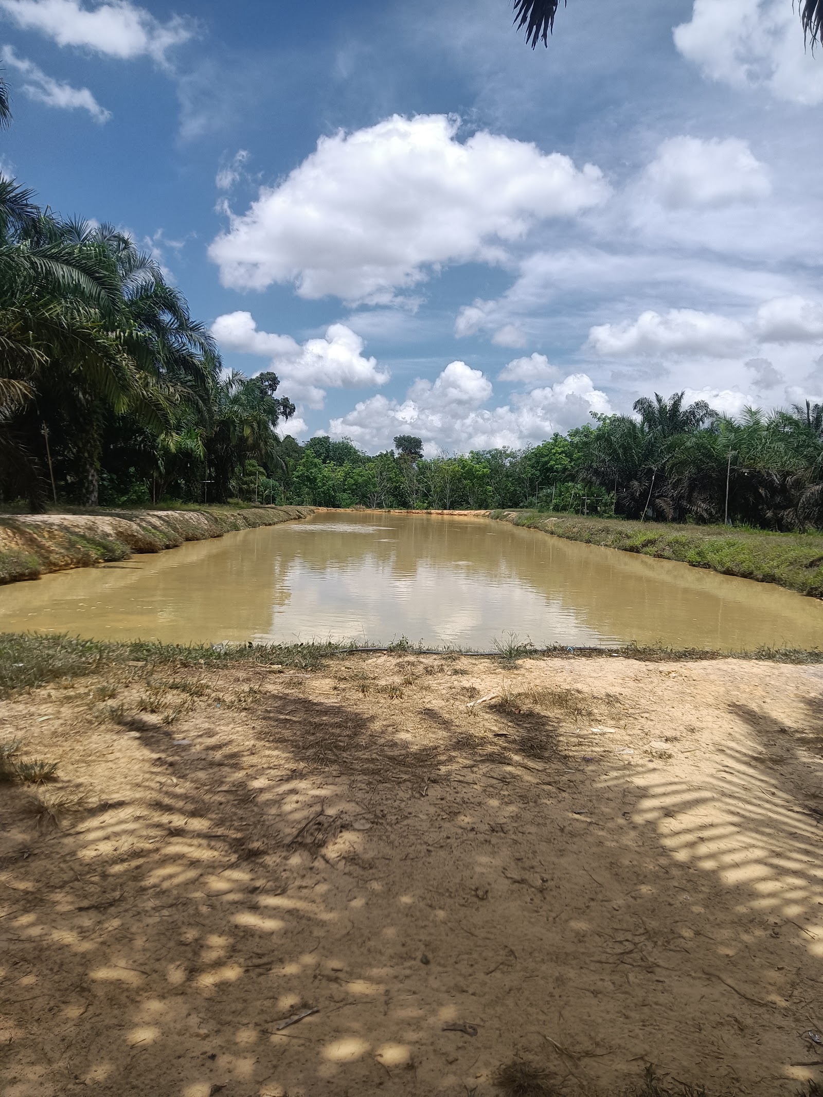 Kolam pancing Kolam Mamipa ( KMP )..