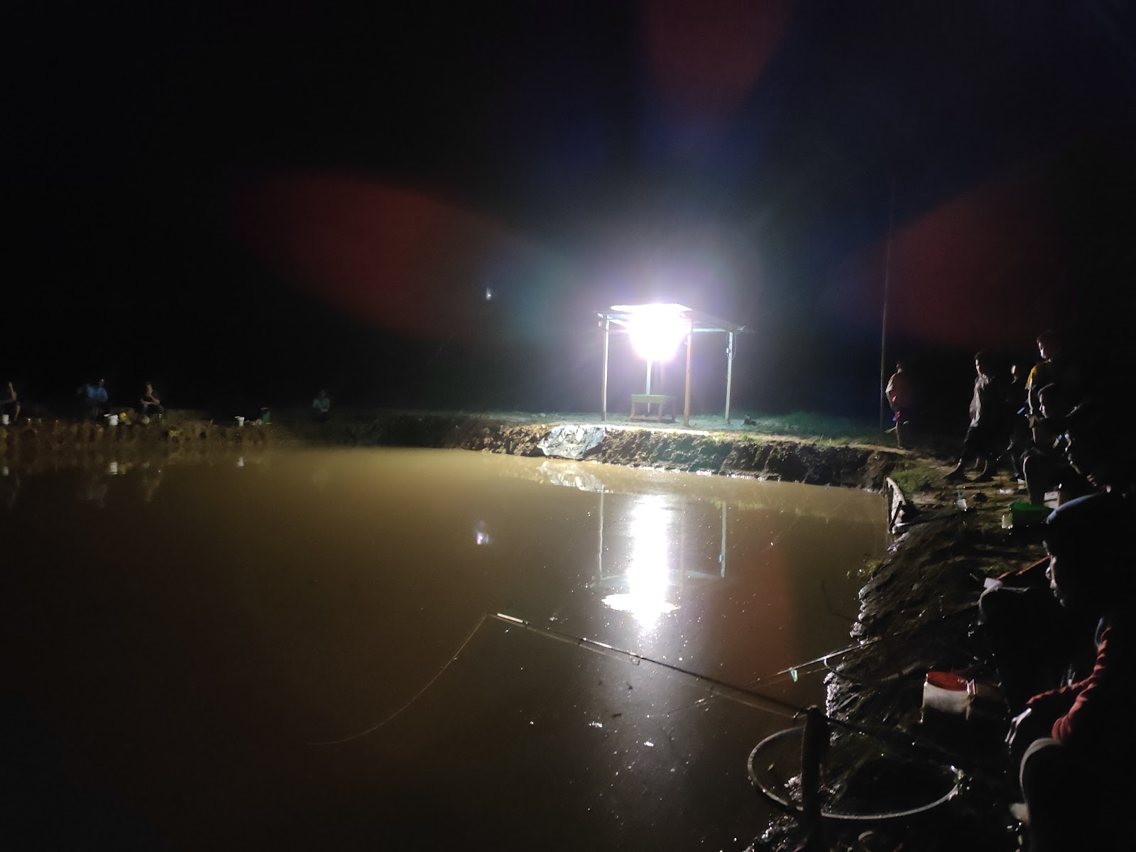 Kolam Pancing Langsat Ranau, fishing pond in Ranau, Sabah (photo 3)