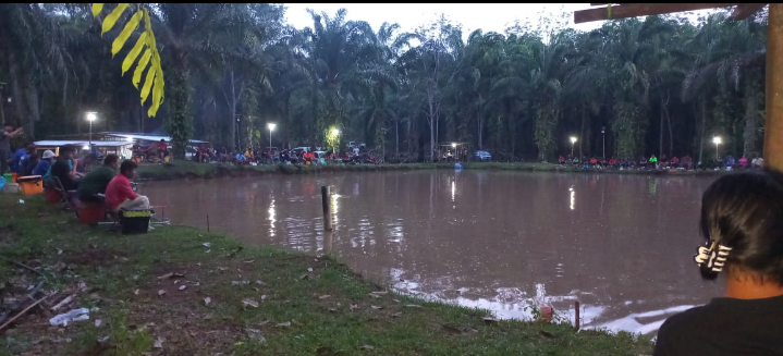 Kolam Pisuk Pisuk Kopuron, fishing pond in Beluran, Sabah (photo 3)