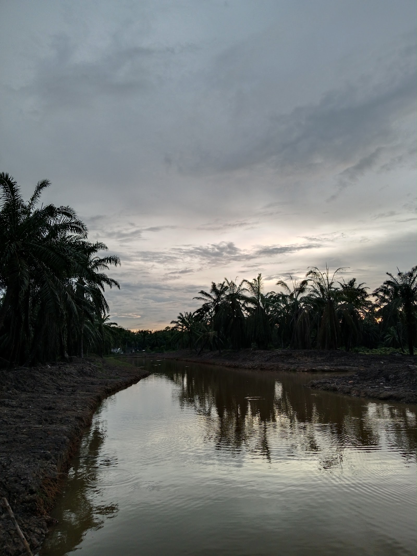 Kolam F'Bond, fishing pond in Beaufort, Sabah (photo 2)