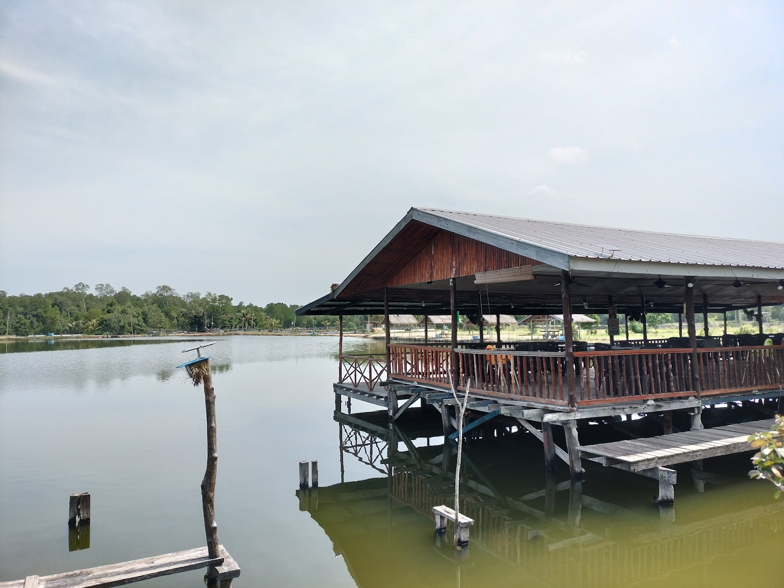 Rikaraya Fishing Haven, kolam pancing di Kota Belud, Sabah (gambar 1)