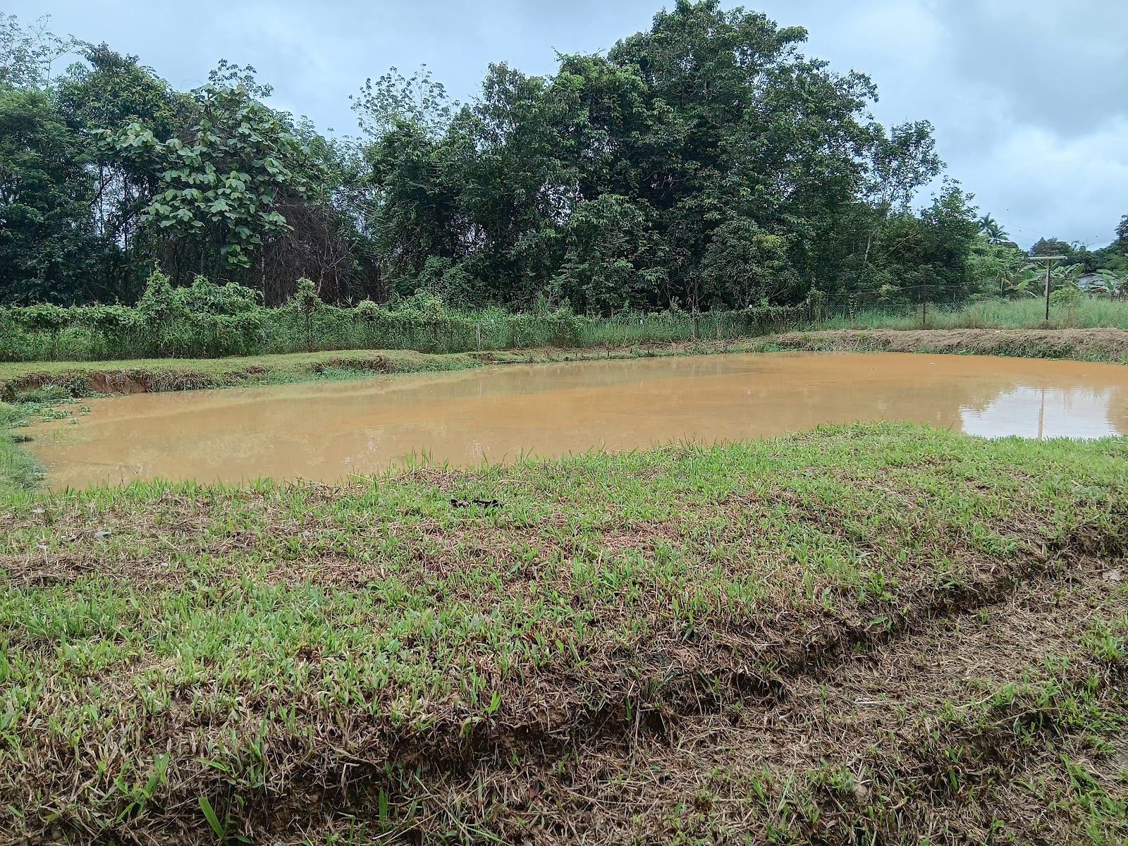 Kolam pancing Kolam IGU
