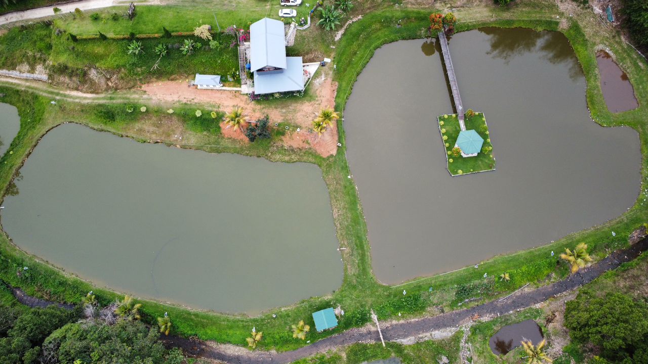 Kolam Rekreasi Pinisayangan Silad (KRPS), kolam pancing di Tambunan, Sabah (gambar 3)