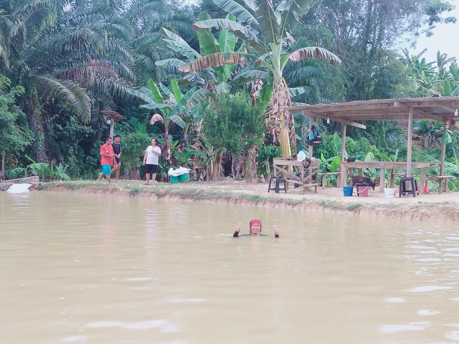 Kolam Damai Lelandang(KDL TENOM) KG LELANDANG, fishing pond in Tenom, Sabah (photo 2)