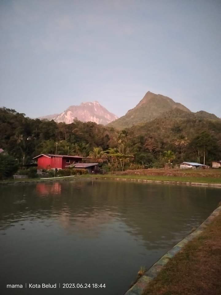 Kolam pancing Kolam Nungkok View, Tambatuon