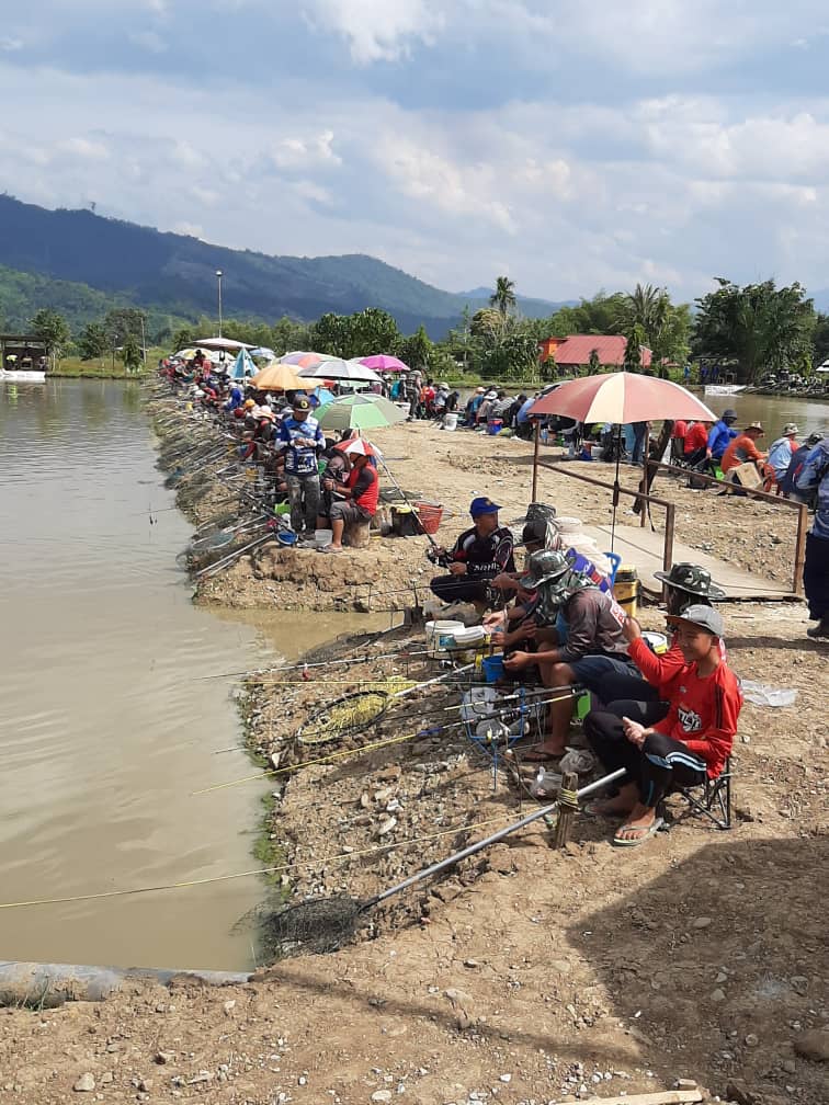 Kolam Joran Ria, kolam pancing di Ranau, Sabah (gambar 2)