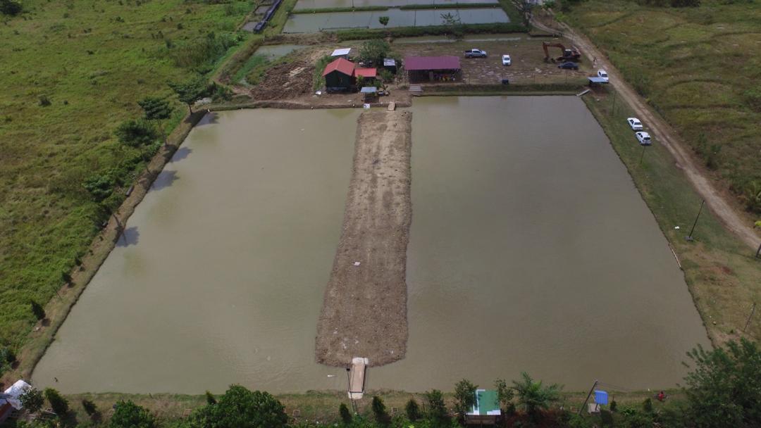 Kolam Joran Ria, kolam pancing di Ranau, Sabah (gambar 3)