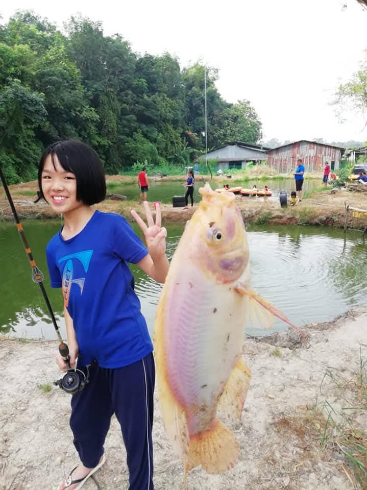 Kolam pancing FarmVille Fishing Pond. Kolam Pancing. Beginner. Friendly @ Seremban