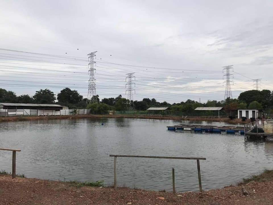 LUKUT FISHING POINT, fishing pond in Negeri Sembilan (photo 2)